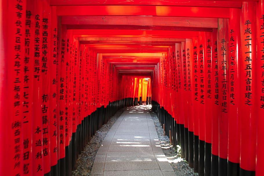 Fushimi Inari-taisha Shrine, Kyoto- Best Tourist Attraction in Japan 